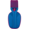 Вид 5